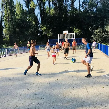 Campsite Oh! Campings- Le Lion Ardeche